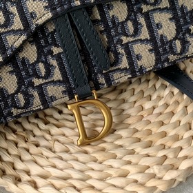 Dior Saddle Oblique Сумка-пояс из парусины с узором «фейерверк» 