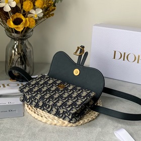Dior Saddle Oblique Сумка-пояс из парусины с узором «фейерверк» 