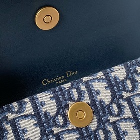 Dior Saddle Oblique Сумка-пояс из парусины с узором «фейерверк» 