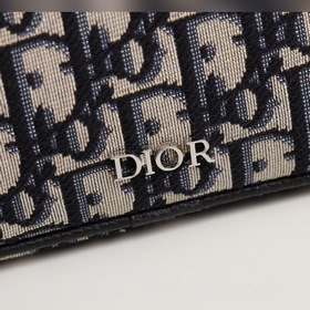 Поясная сумка DIOR Модель： 1ESBO018 (флоральный узор на ткани цв