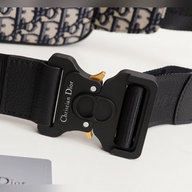 Поясная сумка DIOR Модель： 1ESBO018 (флоральный узор на ткани цв