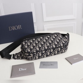 Поясная сумка DIOR с принтом Практичный поясной чехол современным