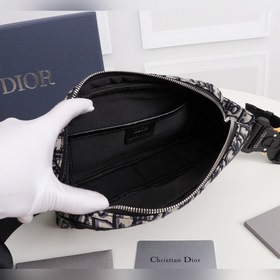 Поясная сумка DIOR с принтом Практичный поясной чехол современным