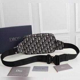 Поясная сумка DIOR с принтом Практичный поясной чехол современным