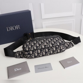 Поясная сумка DIOR с принтом Практичный поясной чехол современным
