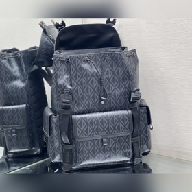 Рюкзак Dior Hit the Road, артикул 1ESBA163CDP, серый Рюкзак Dior 