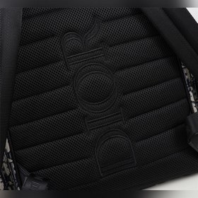 Сумка-рюкзак DIOR Saddle Модель： 1ADBA161YKS_H27E Этот рюкзак-сед