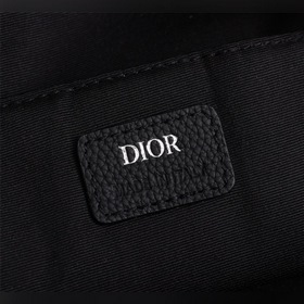 Сумка-рюкзак Dior Oblique из парусины и черной зернистой телячьей