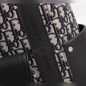 Мужской рюкзак Dior Oblique Модель： 1ADBA143TSE_H28E (абрикосовы