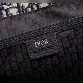 Мужской рюкзак Dior Oblique Модель： 1ESBA102YWY (абрикосовый с у