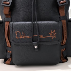 Dior - Новый мужской рюкзак, модель D9001 Рюкзак Dior Hit the Ro
