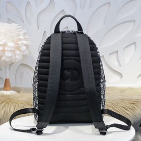 Dior - Новая мужская сумка-рюкзак, модель 131-13 Изготовлен из т