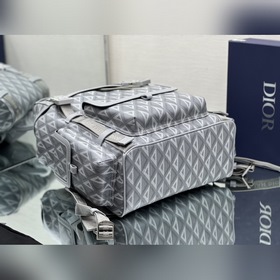Рюкзак Dior Hit the Road, артикул 1ESBA163CDP, серый Рюкзак Dior 