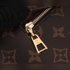 LV Montsouris Маленькая сумка через плечо Модель： M45501 Изготовл