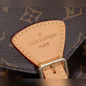 LV Montsouris Маленькая сумка через плечо Модель： M45501 Изготовл