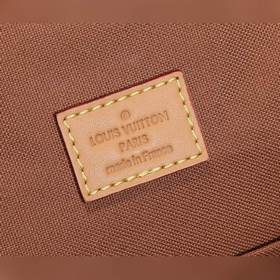 LV Montsouris Маленькая сумка через плечо Модель： M45501 Изготовл