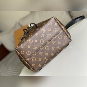 Рюкзак LV Montsouris Old Flower Новый небольшой рюкзак Montsouri