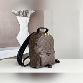 LV Модель Рюкзак для пожилых Изготовленный из ткани Monogram Rev