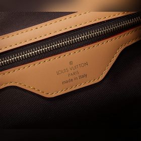 LV Сумка Cité из цельной стали Модель： M46321 Сумка, созданная по