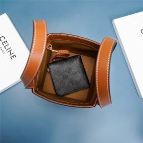 CELINE TRIOMPHE Кубическая сумка из кожи с логотипом Размер 6 x 6