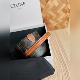 Новая коллекция CELINE 2022 осень-зима уже в продаже. Новая модел
