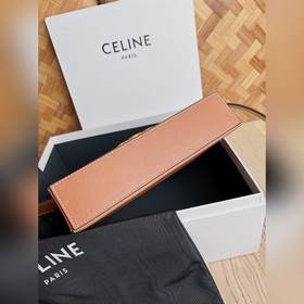 CELINE 2022 раннеосенняя сумка-бокс и небольшой жесткий чемодан п