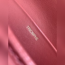 CELINE Новый CUIR TRIOMPHE &nbsp; Триумфальная арка Box [Лог