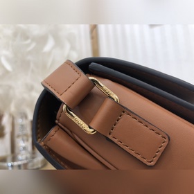 CELINE TRIOMPHE Триумфальная арка Box [бежевый холст с коричнево