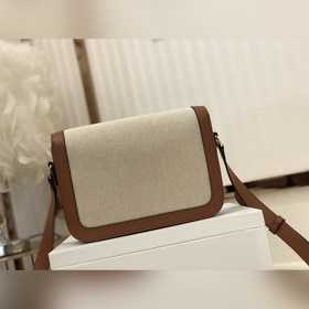 CELINE TRIOMPHE Триумфальная арка Box [бежевый холст с коричнево