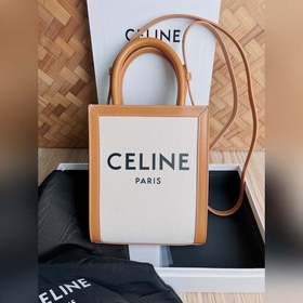 CELINE Triomphe Mini Tote в сочетании с маленьким эльфом выглядит