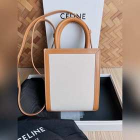 CELINE Triomphe Mini Tote в сочетании с маленьким эльфом выглядит