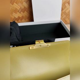 Новая сумка CELINE Triomphe с подмышечным ремнем, ограниченная се