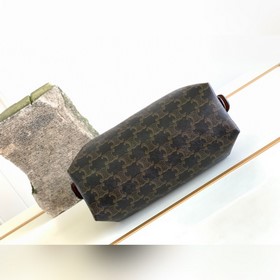 CELINE  TRIOMPHE CANVAS Сумка из кожи с логотипом Новая модель к