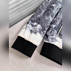Dior Мужская осенне-зимняя новинка： куртка с воротником-бийсом и 