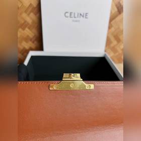 CELINE 2022 раннеосенняя сумка-бокс и небольшой жесткий чемодан п