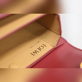 Новая коллекция Goya от Loewe Только что появилась появилась, как