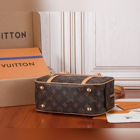 Сумка LV Cité Созданная по мотивам одноименной сумкиз коллекции L