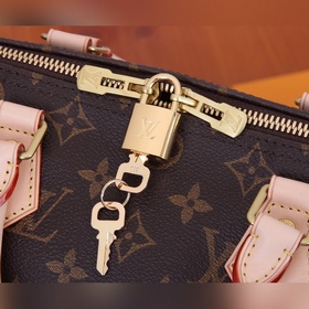 Сумка LV Speedy Кожаные ручки, холст с монограммой. Неудивительно