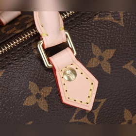 Сумка LV Speedy 20 — идеальная сумка для города. . Знаковый силуэ