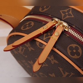 Женская сумка через плечо LV Модель： M45149 В весенне-летней колл