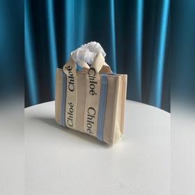 CHLOE  Сумка «Туманная орхидея» в маленьком размере, которую мож