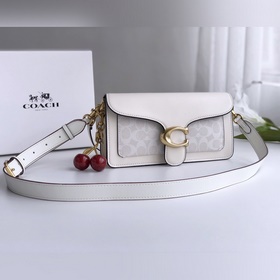 Женская сумка Coach Новая сумка Dionysus Модель： 91215 Молочно-б