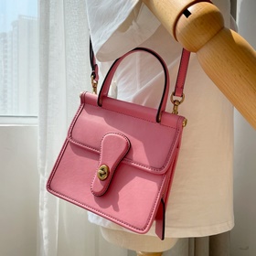 Coach Артикул： 5789 Willis Mini Мини-сумка в стиле ретро с ремне
