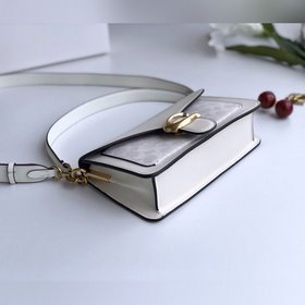Сумка Coach через плечо, женская сумка, новая модель Dionysus 912