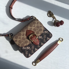 Сумка Coach Beat (маленькая) Артикул： 4603 Дизайн сумки Beat вдо