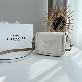 Сумка Coach через плечо  Артикул： 4058 Масштабная сумка в форме 