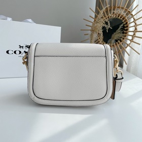 Сумка Coach через плечо  Артикул： 4058 Масштабная сумка в форме 