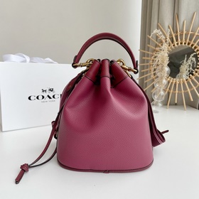 Coach Модель： C3850 Новая модель сумки-ведра, модная, легкая и у