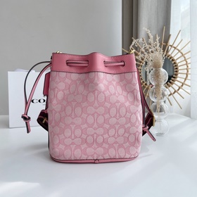 Coach Модель： C3852 Новая сумка-бакет из парусины с логотипом. С