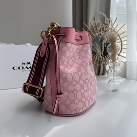 Coach Модель： C3852 Новая сумка-бакет из парусины с логотипом. С